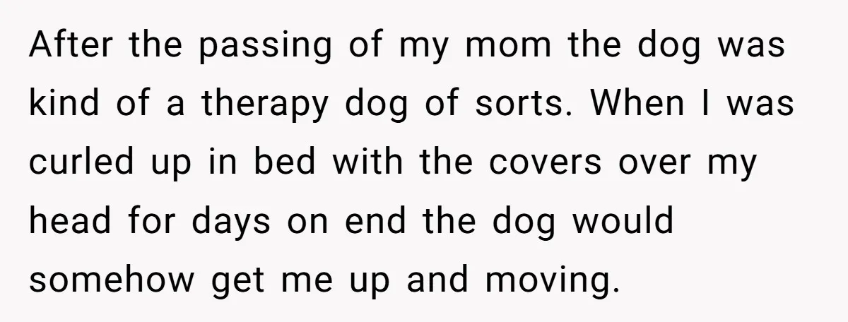 After the passing of my mom the dog was kind of a therapy dog of sorts. When I was curled up in bed with the covers over my head for...