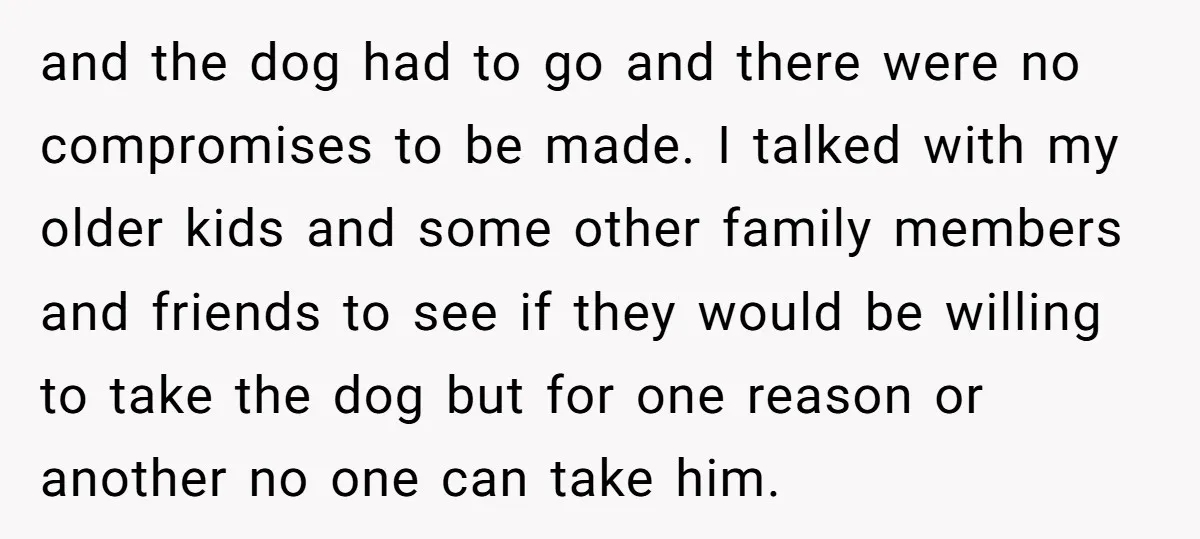 and the dog had to go and there were no compromises to be made. I talked with my older kids and some other family members and friends to see if...