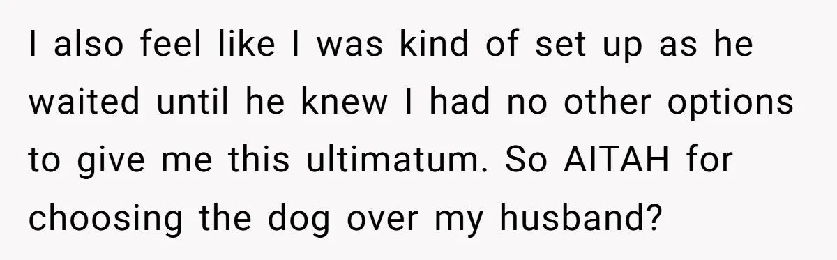 I also feel like I was kind of set up as he waited until he knew I had no other options to give me this ultimatum. So AITAH for choosing...