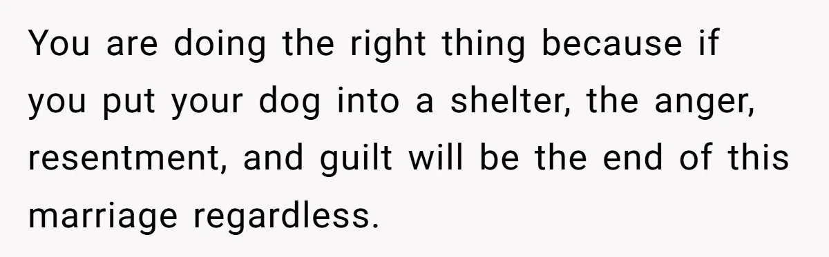 You are doing the right thing because if you put your dog into a shelter, the anger, resentment, and guilt will be the end of this marriage regardless.