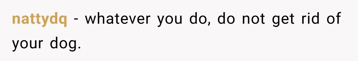nattydq − whatever you do, do not get rid of your dog.