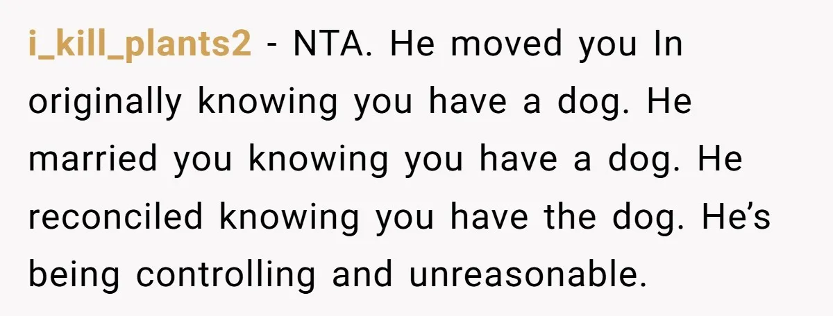 i_kill_plants2 − NTA. He moved you In originally knowing you have a dog. He married you knowing you have a dog. He reconciled knowing you have the dog. He’s being...
