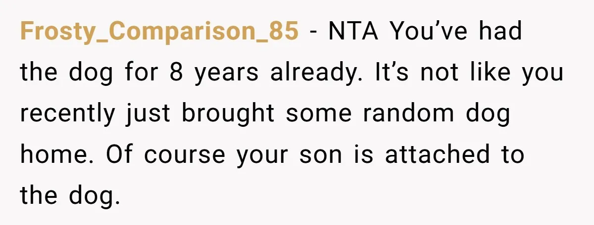 Frosty_Comparison_85 − NTA You’ve had the dog for 8 years already. It’s not like you recently just brought some random dog home. Of course your son is attached to the...