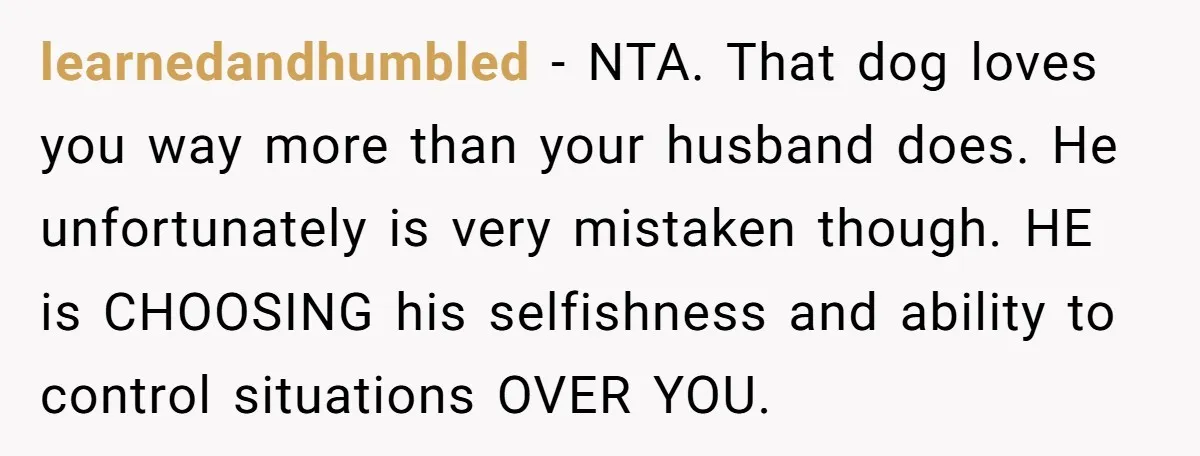 learnedandhumbled − NTA. That dog loves you way more than your husband does. He unfortunately is very mistaken though. HE is CHOOSING his selfishness and ability to control situations OVER...