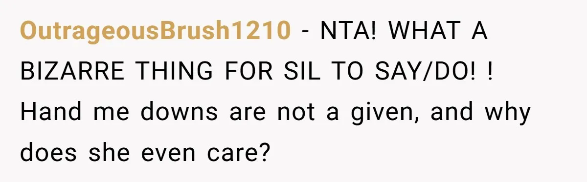 OutrageousBrush1210 − NTA! WHAT A BIZARRE THING FOR SIL TO SAY/DO! ! Hand me downs are not a given, and why does she even care?