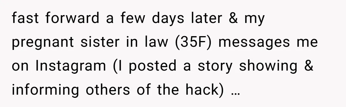 fast forward a few days later & my pregnant sister in law (35F) messages me on Instagram (I posted a story showing & informing others of the hack) …