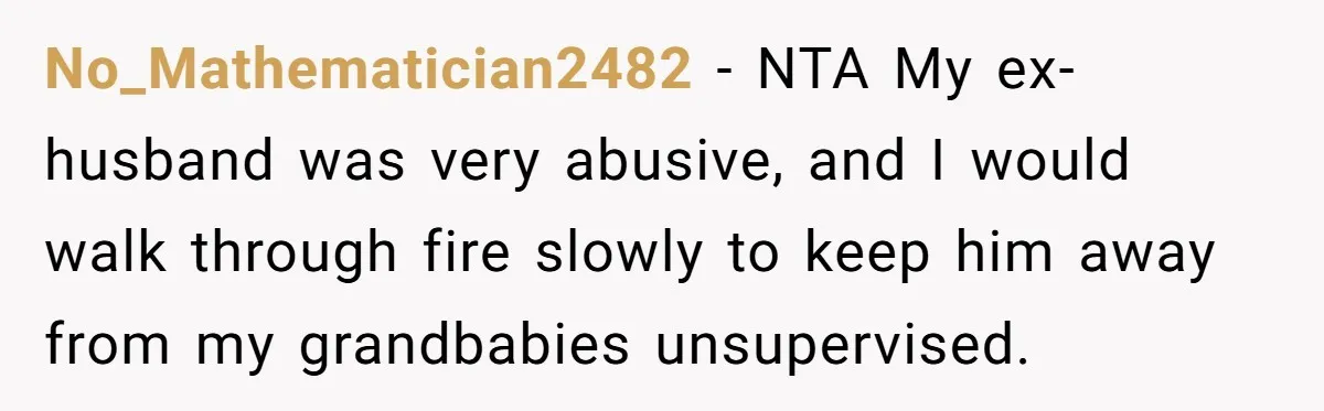 No_Mathematician2482 - NTA My ex-husband was very abusive, and I would walk through fire slowly to keep him away from my grandbabies unsupervised.