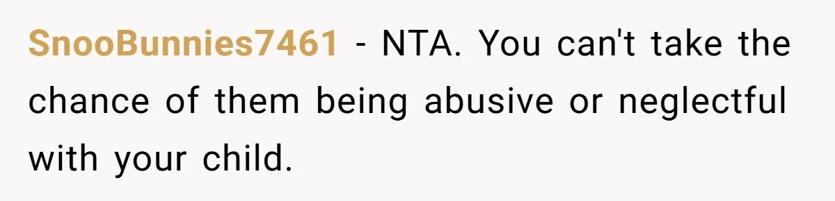 SnooBunnies7461 - NTA. You can't take the chance of them being abusive or neglectful with your child.