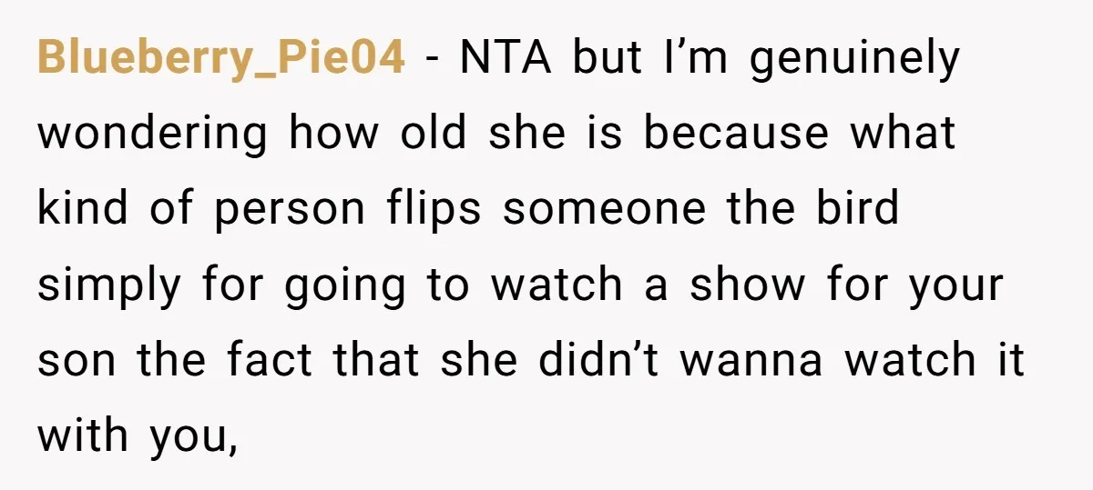 Blueberry_Pie04 − NTA but I’m genuinely wondering how old she is because what kind of person flips someone the bird simply for going to watch a show for your son...