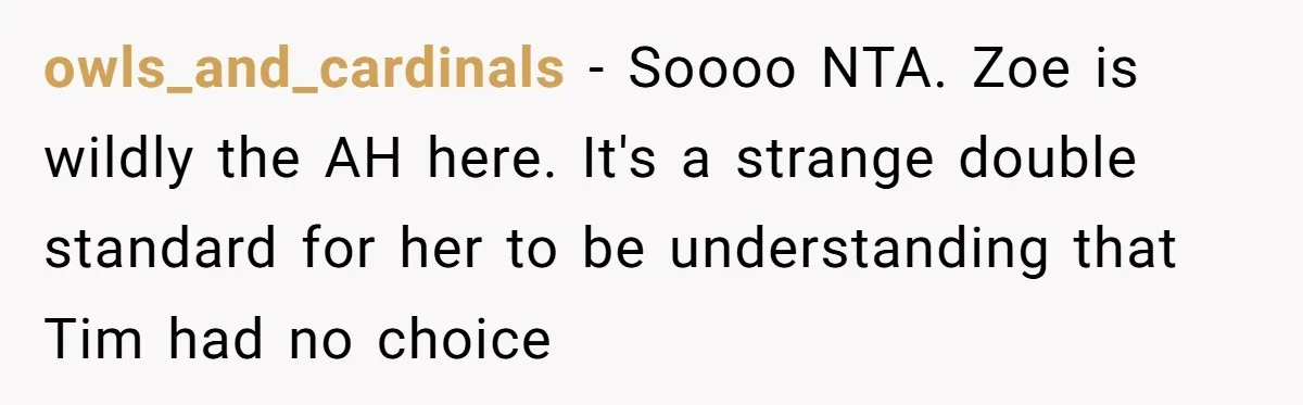 owls_and_cardinals − Soooo NTA. Zoe is wildly the AH here. It's a strange double standard for her to be understanding that Tim had no choice