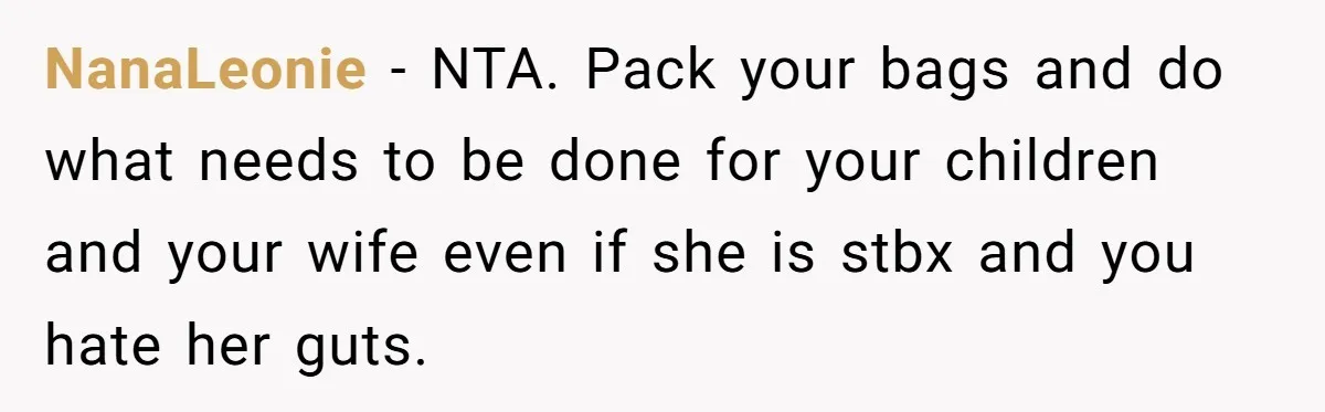 NanaLeonie − NTA. Pack your bags and do what needs to be done for your children and your wife even if she is stbx and you hate her guts.