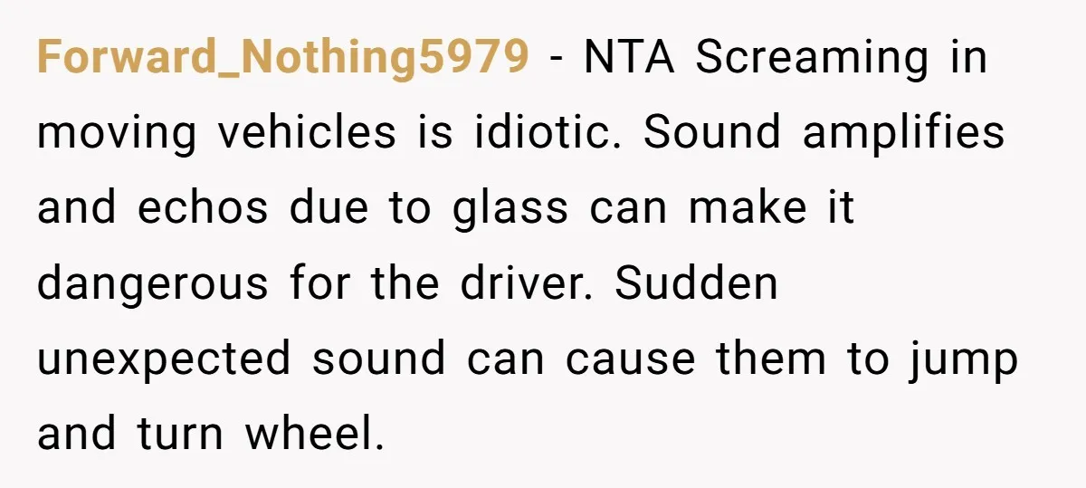 Forward_Nothing5979 − NTA Screaming in moving vehicles is idiotic. Sound amplifies and echos due to glass can make it dangerous for the driver. Sudden unexpected sound can cause them to...