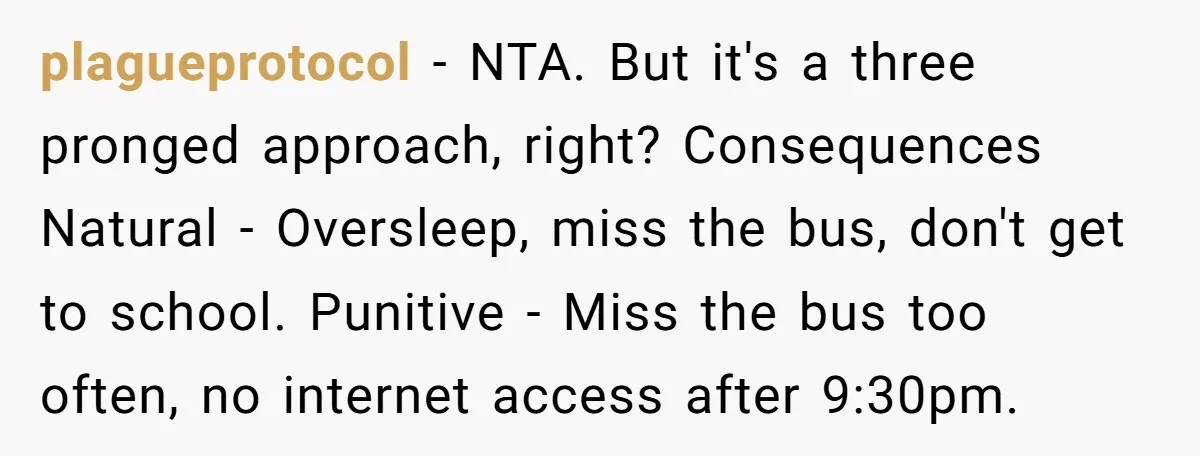 plagueprotocol − NTA. But it's a three pronged approach, right? Consequences Natural - Oversleep, miss the bus, don't get to school. Punitive - Miss the bus too often, no internet...