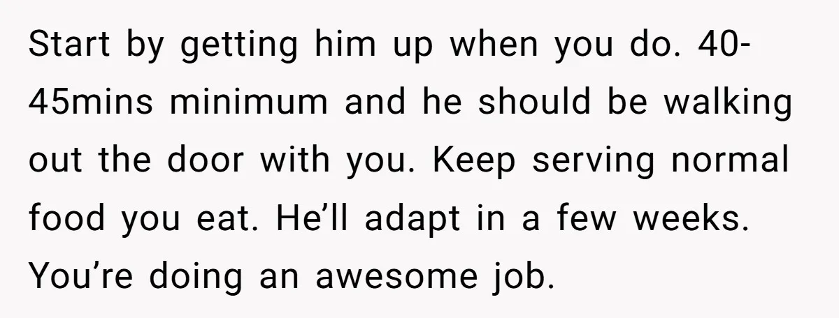Start by getting him up when you do. 40-45mins minimum and he should be walking out the door with you. Keep serving normal food you eat. He’ll adapt in a...