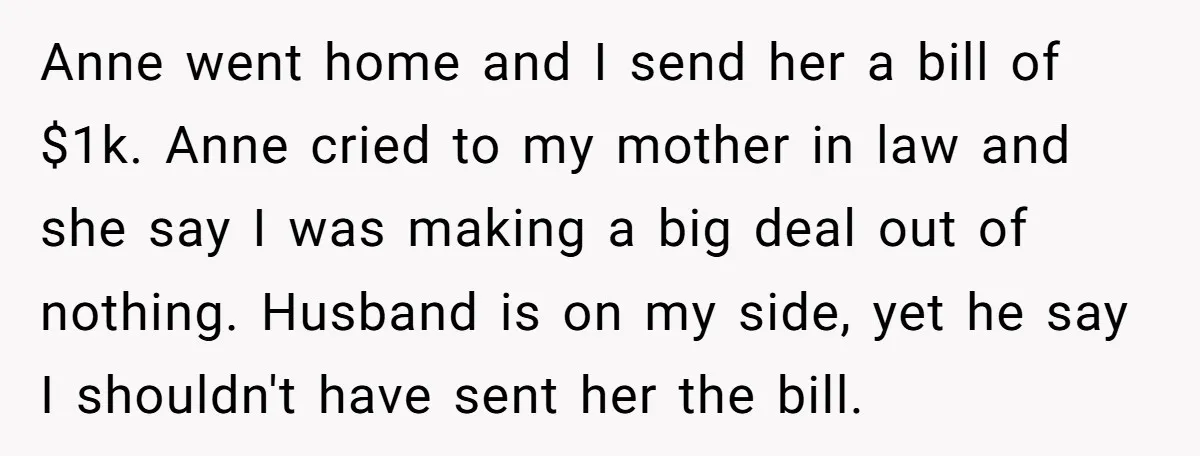 Anne went home and I send her a bill of $1k. Anne cried to my mother in law and she say I was making a big deal out of nothing....