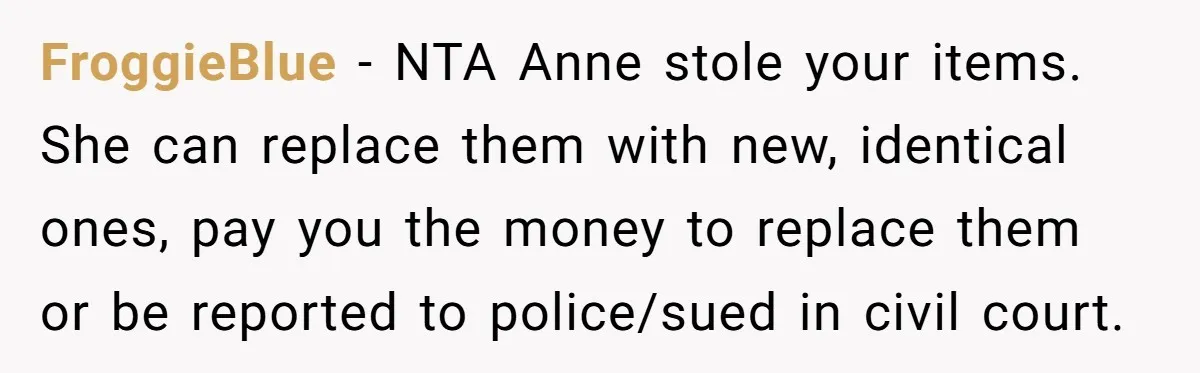 FroggieBlue − NTA Anne stole your items. She can replace them with new, identical ones, pay you the money to replace them or be reported to police/sued in civil court.