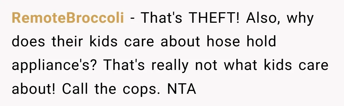 RemoteBroccoli − That's THEFT! Also, why does their kids care about hose hold appliance's? That's really not what kids care about! Call the cops. NTA