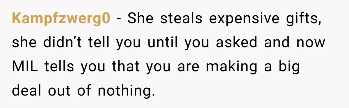 Kampfzwerg0 − She steals expensive gifts, she didn’t tell you until you asked and now MIL tells you that you are making a big deal out of nothing.