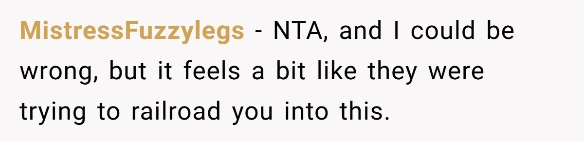 MistressFuzzylegs − NTA, and I could be wrong, but it feels a bit like they were trying to railroad you into this.
