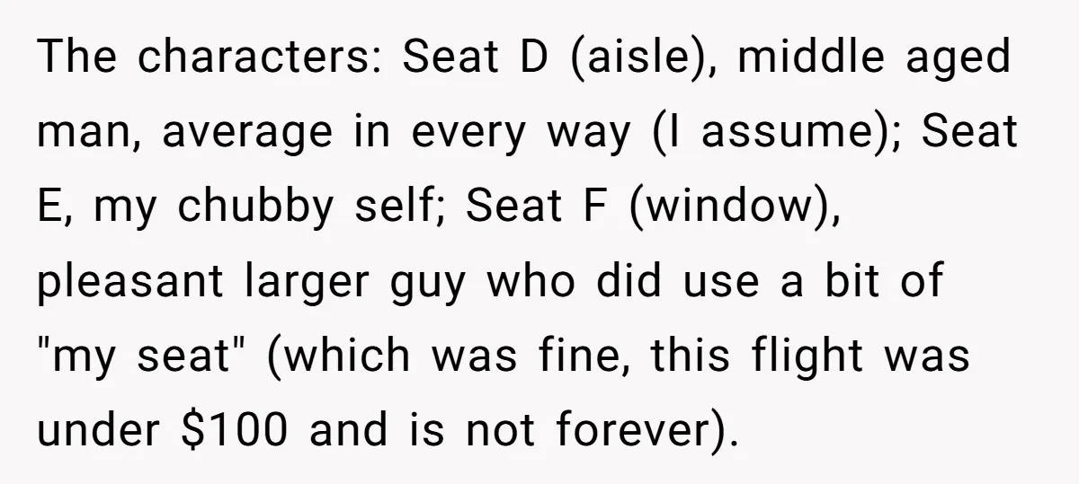 The characters: Seat D (aisle), middle aged man, average in every way (I assume); Seat E, my chubby self; Seat F (window), pleasant larger guy who did use a bit...