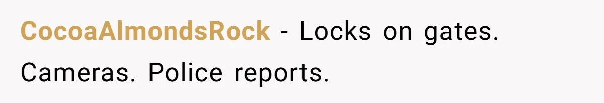 CocoaAlmondsRock − Locks on gates. Cameras. Police reports.