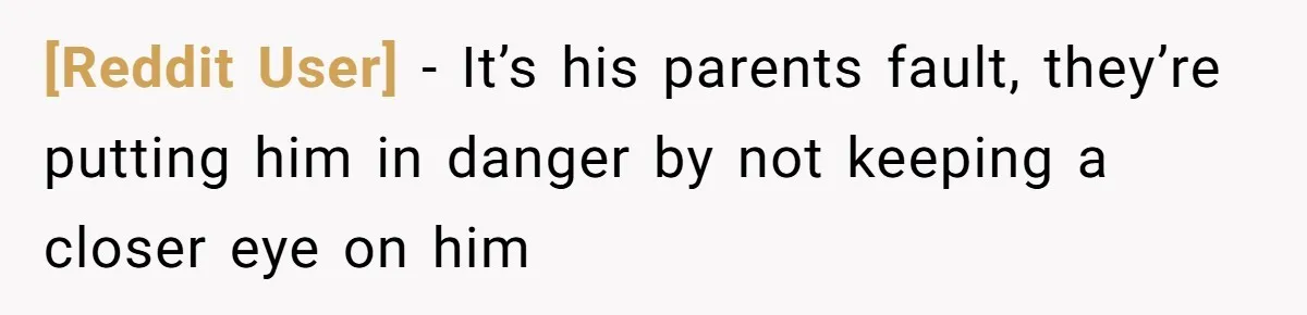 [Reddit User] − It’s his parents fault, they’re putting him in danger by not keeping a closer eye on him