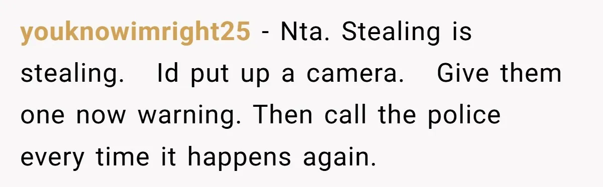 youknowimright25 − Nta. Stealing is stealing.   Id put up a camera.   Give them one now warning. Then call the police every time it happens again.
