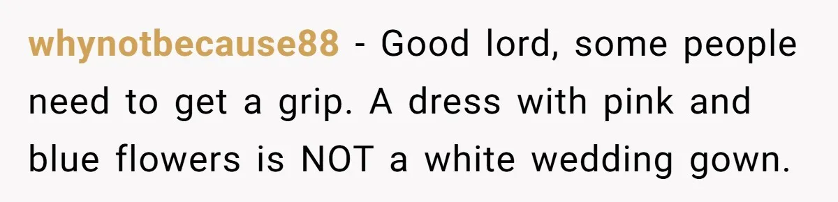 whynotbecause88 − Good lord, some people need to get a grip. A dress with pink and blue flowers is NOT a white wedding gown.