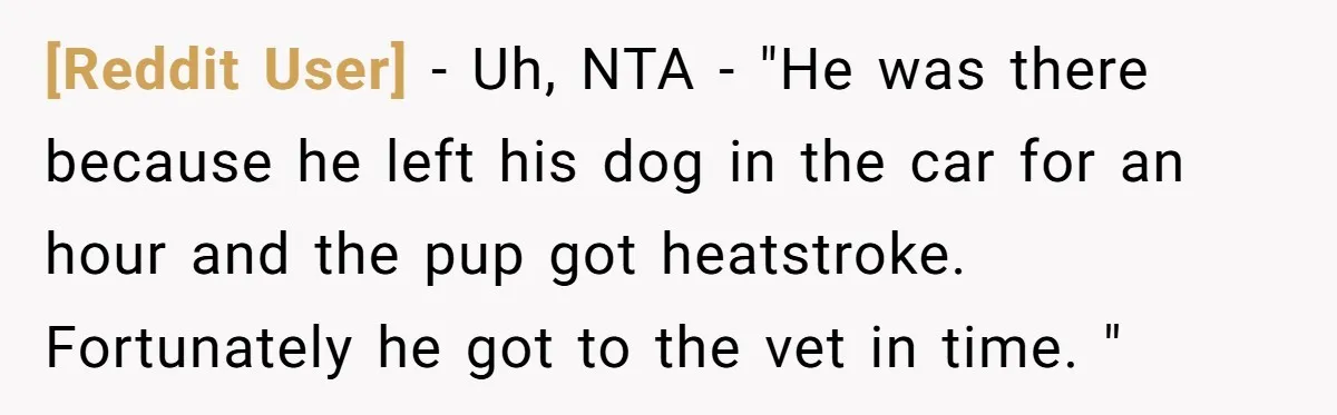 [Reddit User] − Uh, NTA - "He was there because he left his dog in the car for an hour and the pup got heatstroke. Fortunately he got to the...
