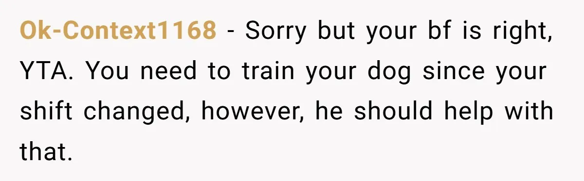 Ok-Context1168 − Sorry but your bf is right, YTA. You need to train your dog since your shift changed, however, he should help with that.