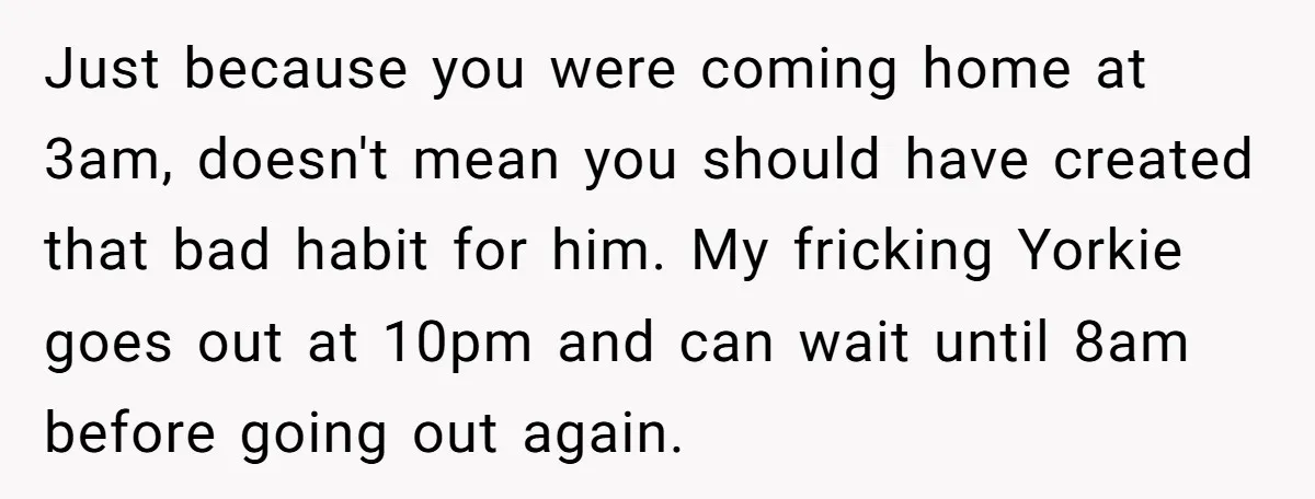 Just because you were coming home at 3am, doesn't mean you should have created that bad habit for him. My fricking Yorkie goes out at 10pm and can wait until...