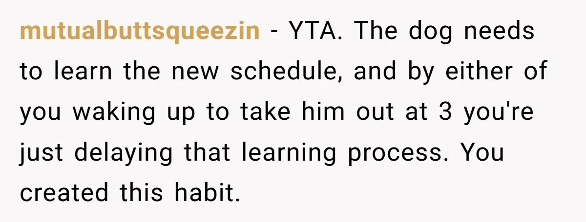 mutualbuttsqueezin − YTA. The dog needs to learn the new schedule, and by either of you waking up to take him out at 3 you're just delaying that learning process....