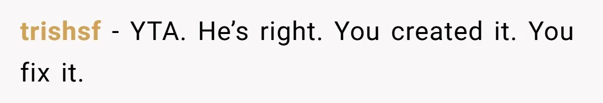 trishsf − YTA. He’s right. You created it. You fix it.