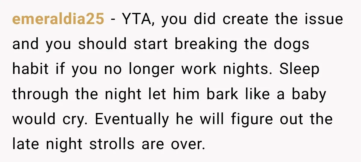 emeraldia25 − YTA, you did create the issue and you should start breaking the dogs habit if you no longer work nights. Sleep through the night let him bark like...