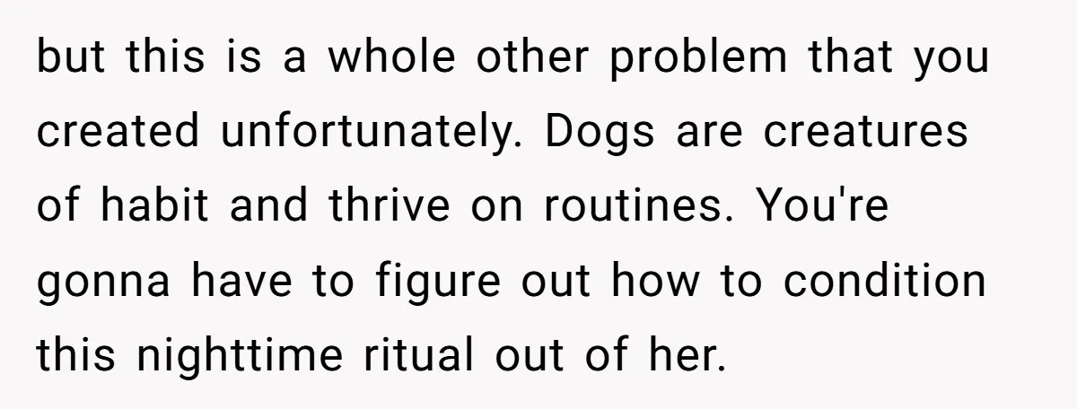 but this is a whole other problem that you created unfortunately. Dogs are creatures of habit and thrive on routines. You're gonna have to figure out how to condition this...
