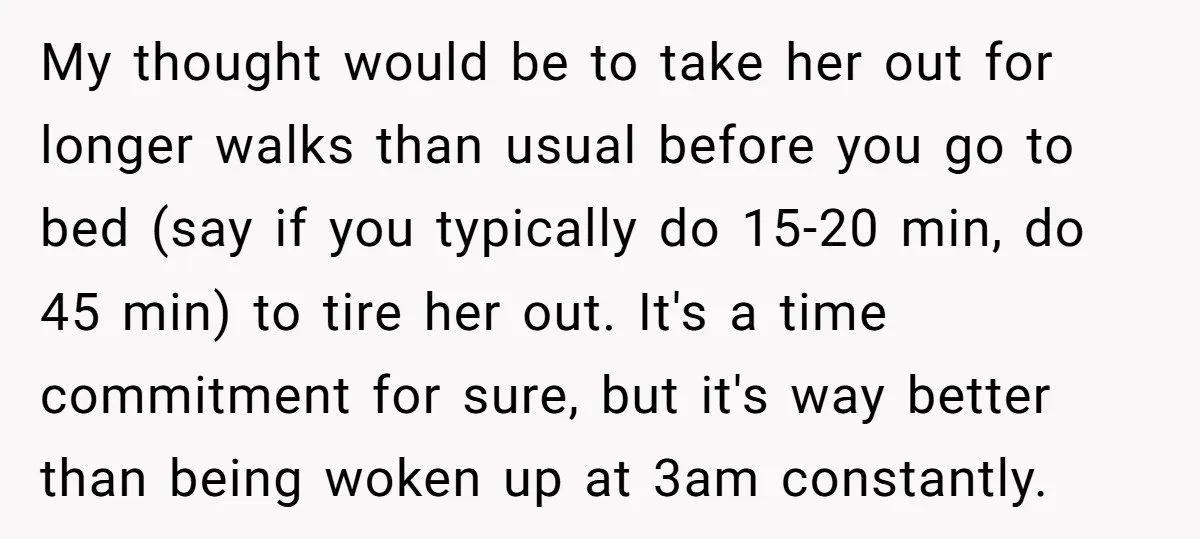 My thought would be to take her out for longer walks than usual before you go to bed (say if you typically do 15-20 min, do 45 min) to tire...