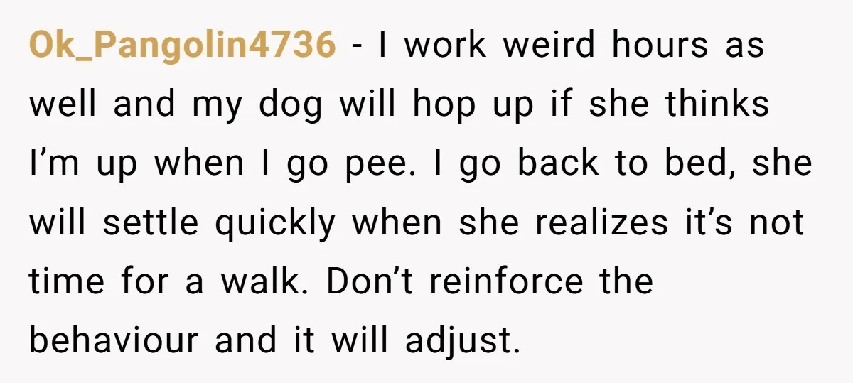 Ok_Pangolin4736 − I work weird hours as well and my dog will hop up if she thinks I’m up when I go pee. I go back to bed, she will...
