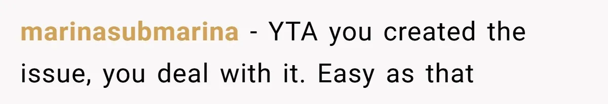 marinasubmarina − YTA you created the issue, you deal with it. Easy as that