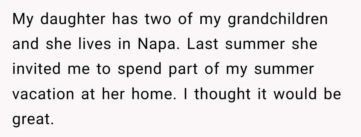 My daughter has two of my grandchildren and she lives in Napa. Last summer she invited me to spend part of my summer vacation at her home. I thought it...