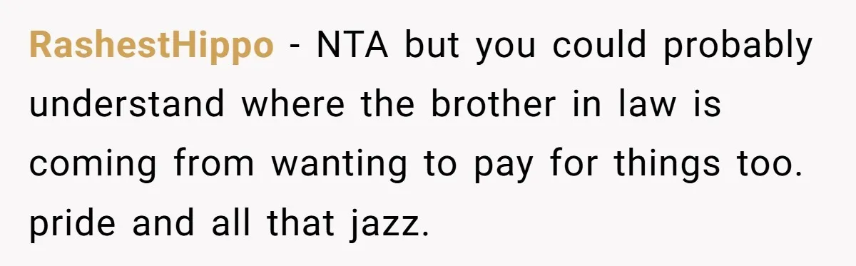 RashestHippo − NTA but you could probably understand where the brother in law is coming from wanting to pay for things too. pride and all that jazz.