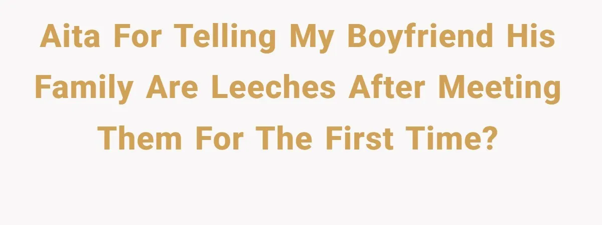 AITA for telling my boyfriend his family are leeches after meeting them for the first time?