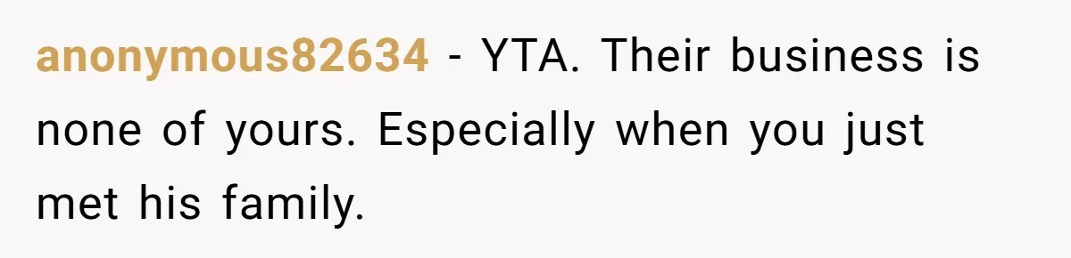 anonymous82634 − YTA. Their business is none of yours. Especially when you just met his family.