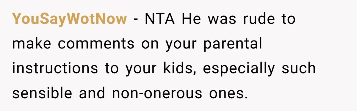 YouSayWotNow − NTA He was rude to make comments on your parental instructions to your kids, especially such sensible and non-onerous ones.