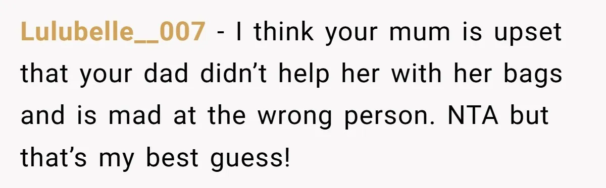 Lulubelle__007 − I think your mum is upset that your dad didn’t help her with her bags and is mad at the wrong person. NTA but that’s my best guess!