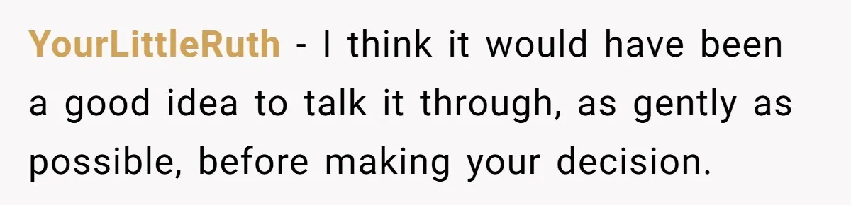 YourLittleRuth - I think it would have been a good idea to talk it through, as gently as possible, before making your decision.