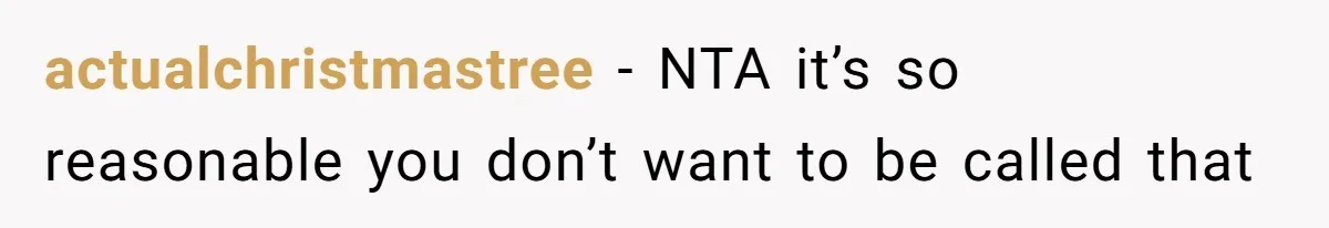 actualchristmastree − NTA it’s so reasonable you don’t want to be called that
