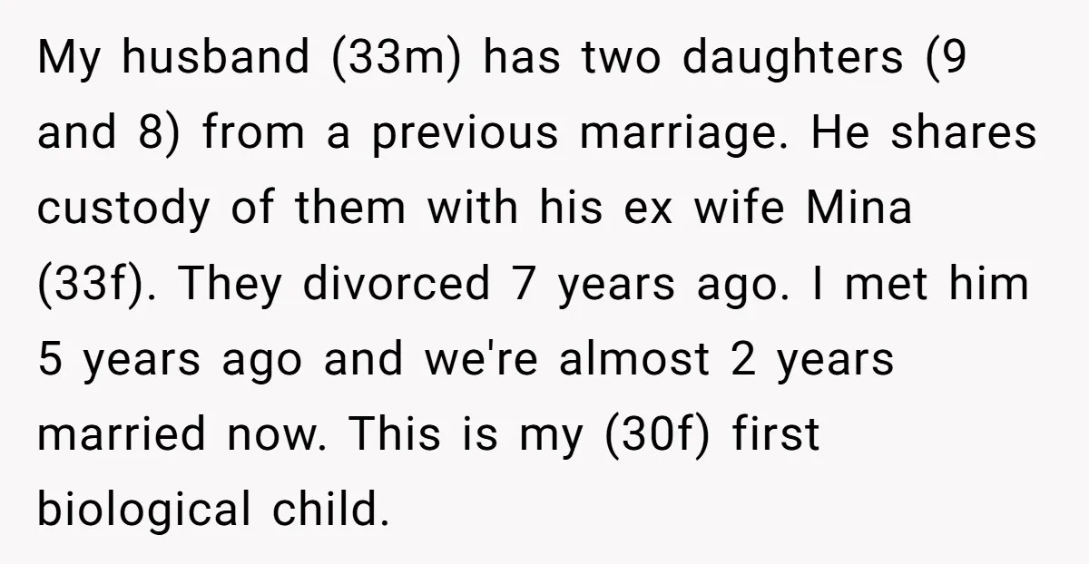 My husband (33m) has two daughters (9 and 8) from a previous marriage. He shares custody of them with his ex wife Mina (33f). They divorced 7 years ago. I...