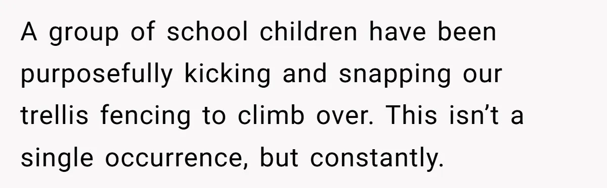 A group of school children have been purposefully kicking and snapping our trellis fencing to climb over. This isn’t a single occurrence, but constantly.