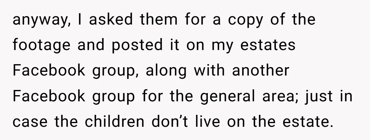 anyway, I asked them for a copy of the footage and posted it on my estates Facebook group, along with another Facebook group for the general area; just in case...