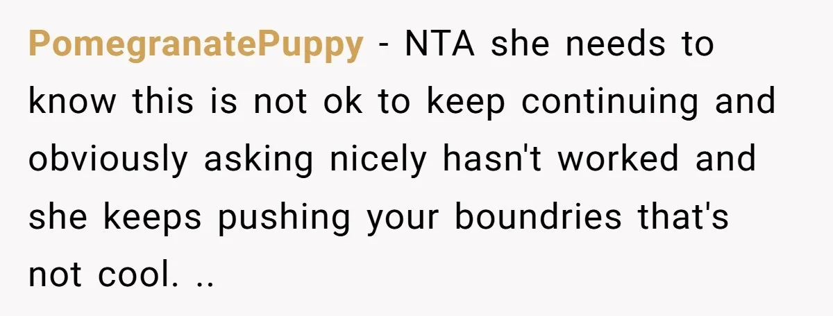 PomegranatePuppy − NTA she needs to know this is not ok to keep continuing and obviously asking nicely hasn't worked and she keeps pushing your boundries that's not cool. ..